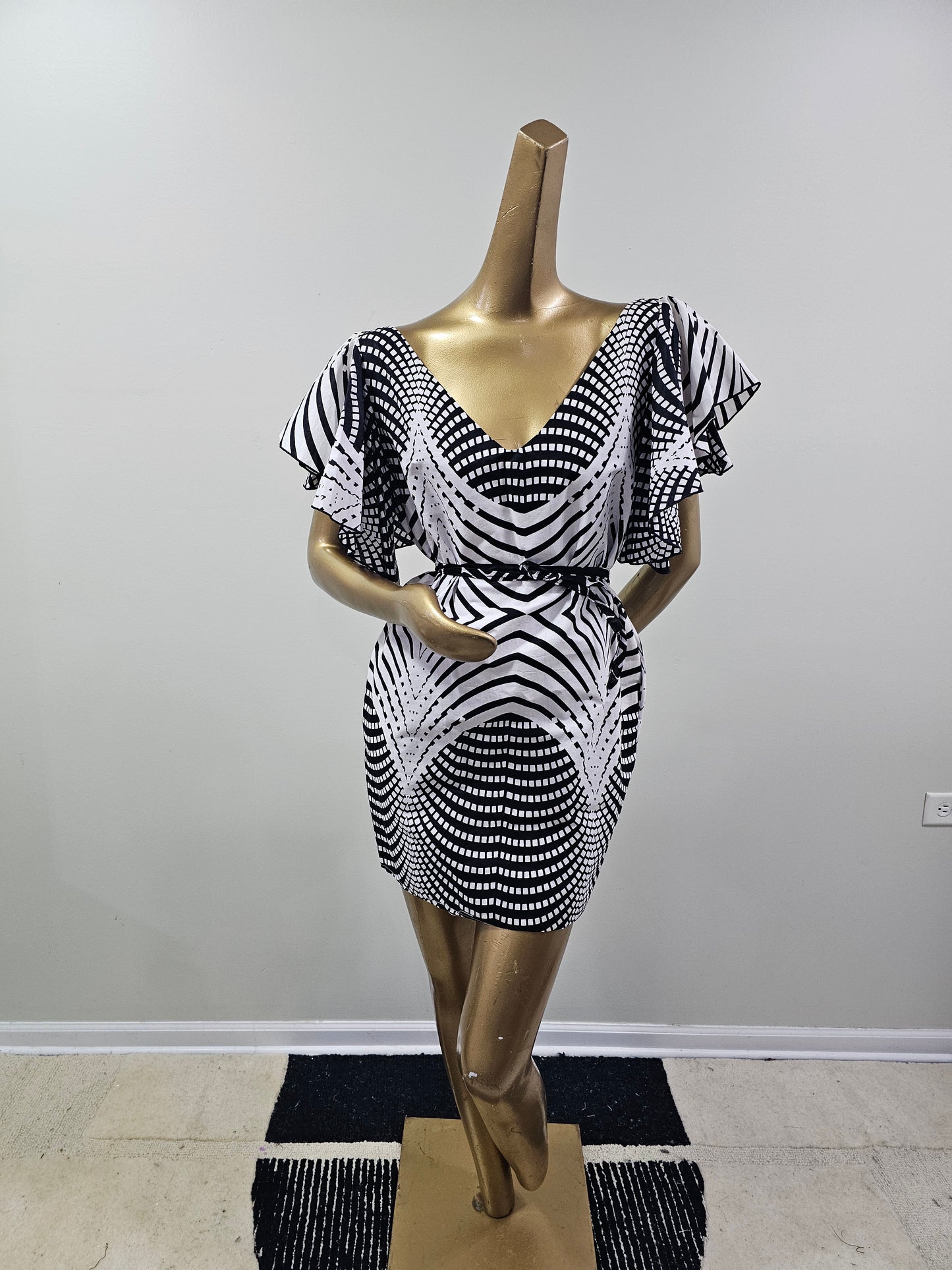 Ale fly dress